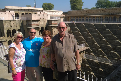 Escursione in giornata ad Abhaneri con il Tempio delle Scimmie da JaipurTour in auto e autista