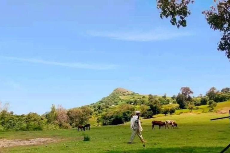 From Addis Ababa: 4-Day Alatish National Park Safari
