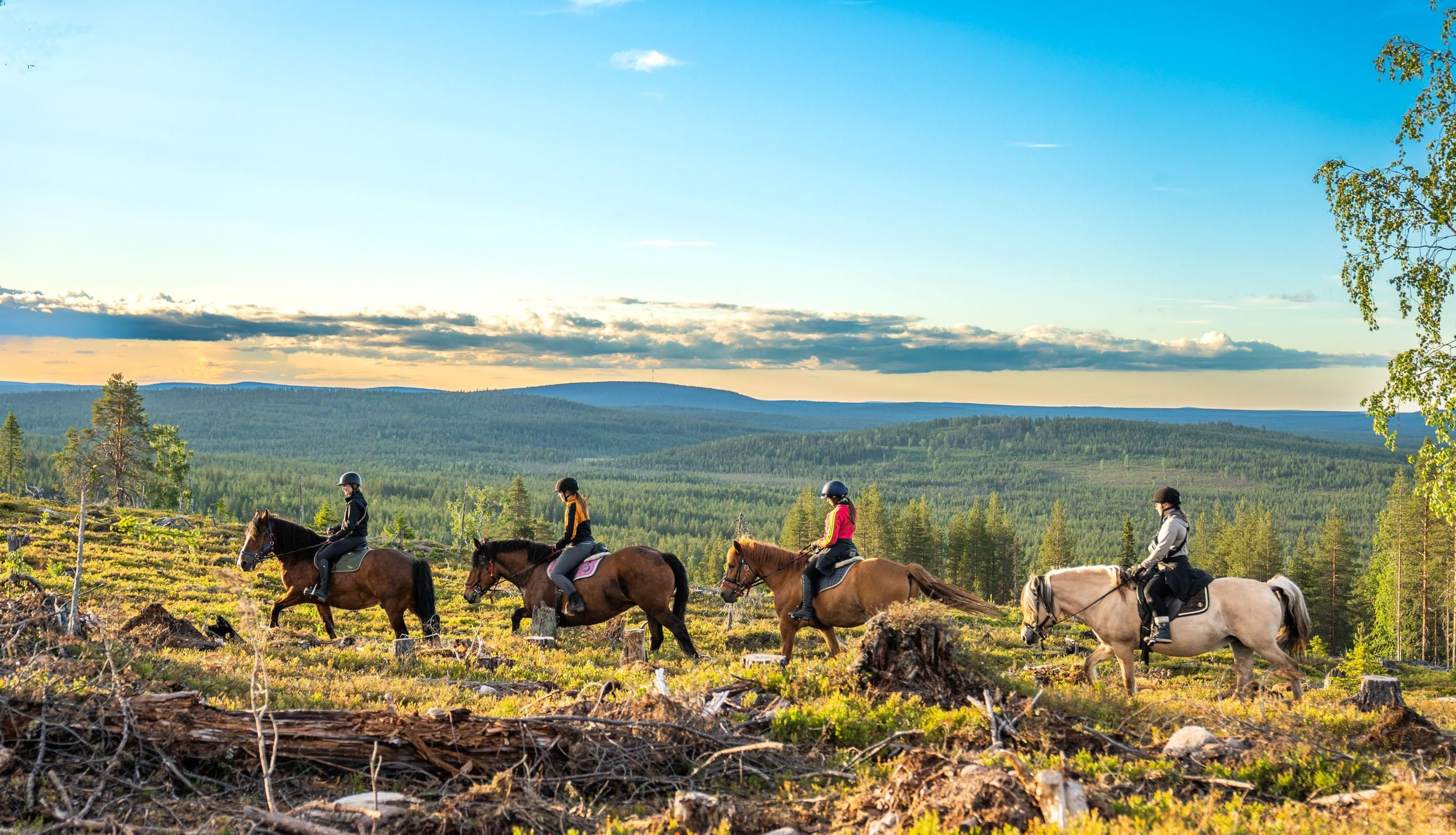 ROVANIEMI: Sommerlicher Ausritt durch den Wald zu den Hügeln