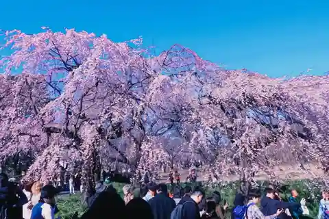 Licensed Guide Shinjuku Dramatic Tour Day Time
