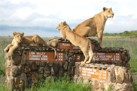 Nairobi National Park Safari 4x4 Car–Personalized Experience Shared Guided Game Open roofed 4x4 Van