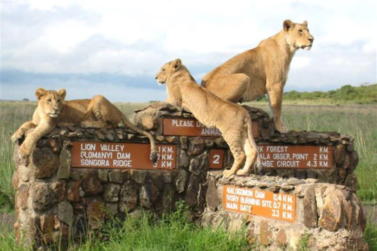 Nairobi National Park Safari 4x4 Car–Personalized Experience Shared Guided Game Open roofed 4x4 Van