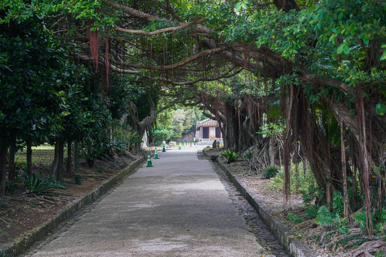 Naha: Okinawa Shuri Castle Peace Walking Tour