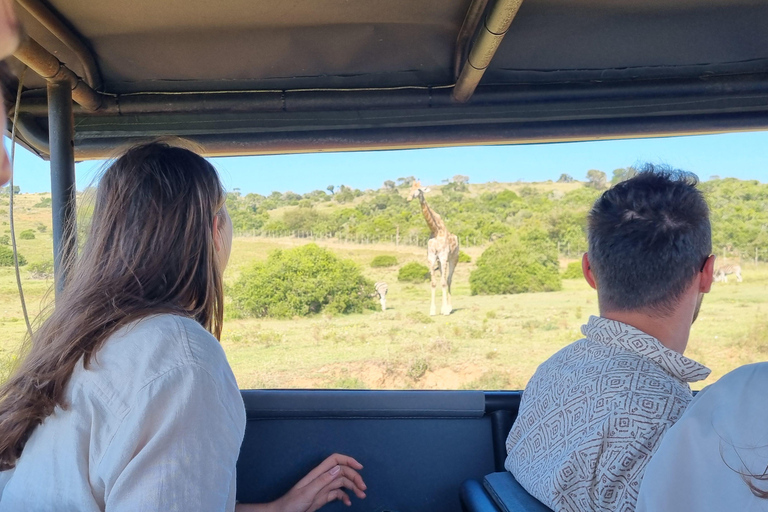Half-Day Schotia Game Reserve (Open 4x4 Vehicle)
