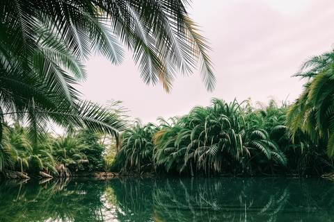 Moshi: Chemka Hot Springs Day Trip with Accommodation Pickup