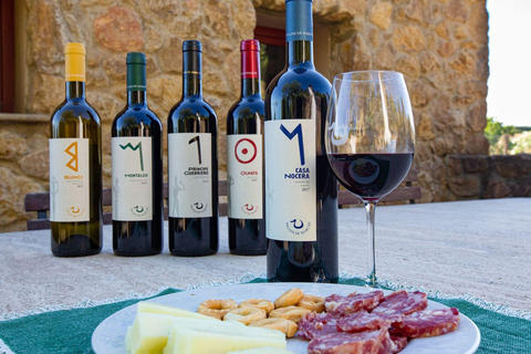 Visita a uma adega e prova de vinhos com comida perto de Livorno e PisaInglês