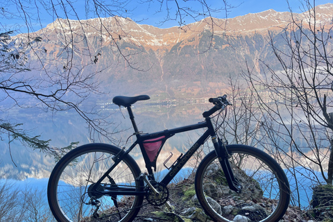 Tour in bicicletta della Valle di Interlaken: Fiumi, laghi e foresteTour in bicicletta della Valle di Interlaken - Fiumi, laghi e foreste