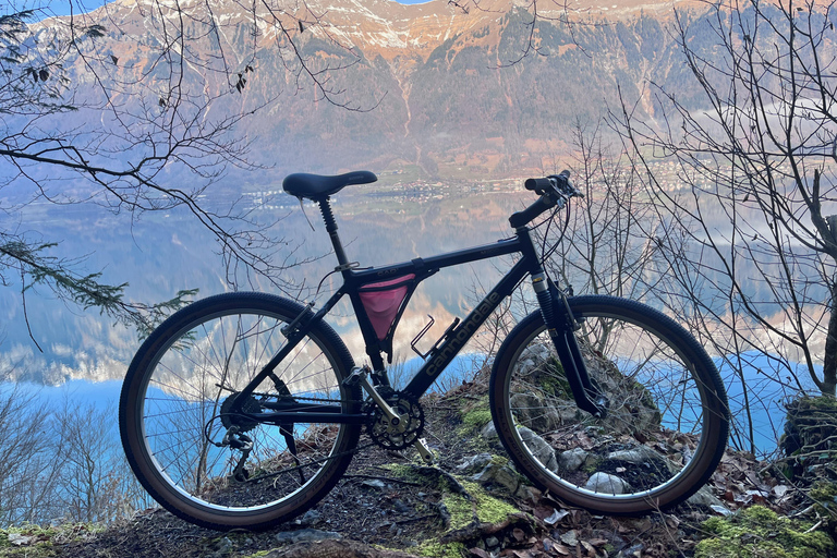 Tour in bicicletta della Valle di Interlaken: Fiumi, laghi e foresteTour in bicicletta della Valle di Interlaken - Fiumi, laghi e foreste