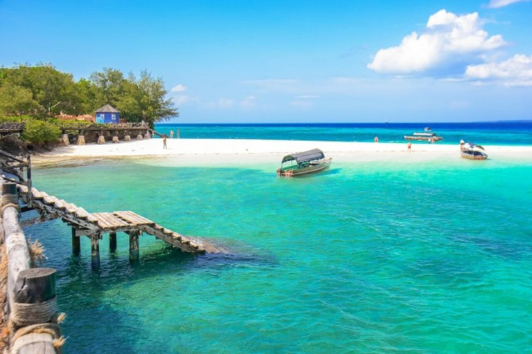 Zanzibar: Half-Day Adventure to Prison Island & Stone Town