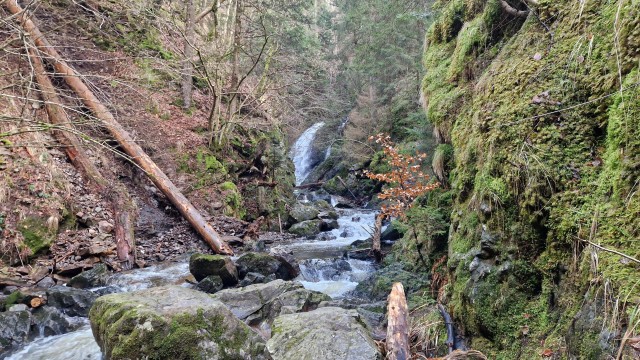 Visit Black Forest Ravenna Gorge Hiking Tour in Staufen im Breisgau