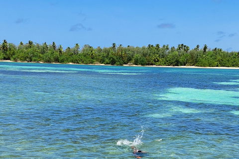 Buccoo Reef and Nylon Pool Adventure