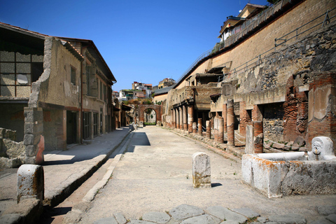 Från Neapel: Pompeji, Herculaneum och Vesuvius heldagstur