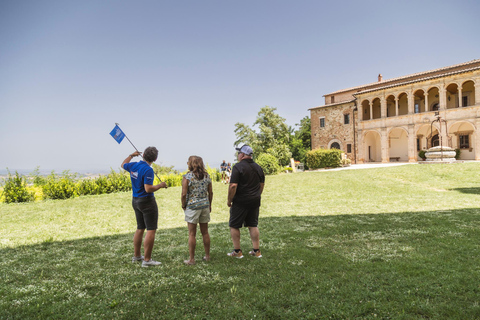 Depuis Rome : Excursion d&#039;une journée en Toscane avec déjeuner et vins