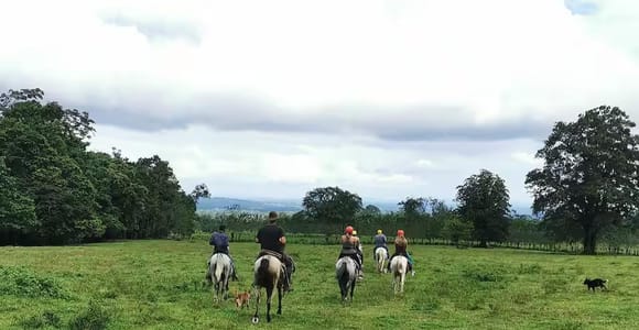 La Fortuna: Horseback Ride to La Fortuna Waterfall
