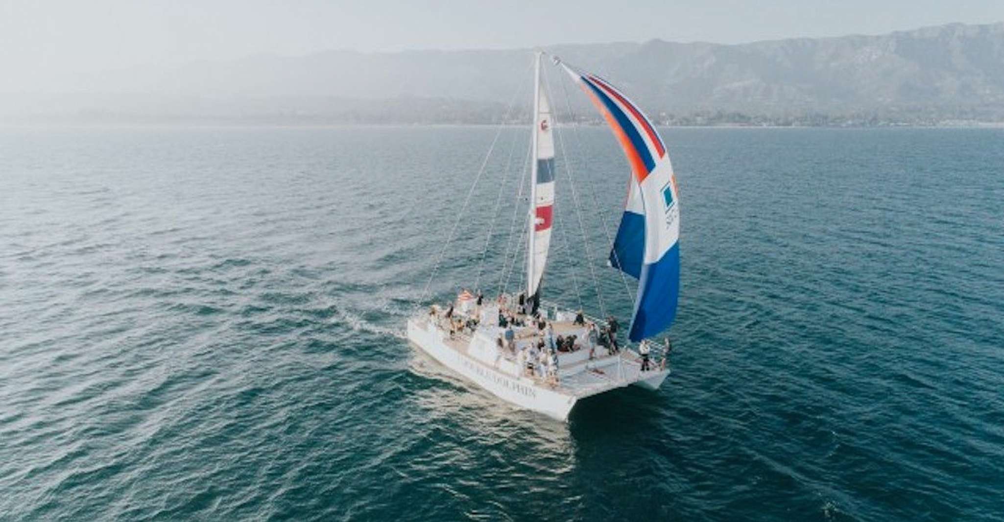 Santa Barbara, Croisière catamaran à l'observation des baleines avec bar - Hizvo