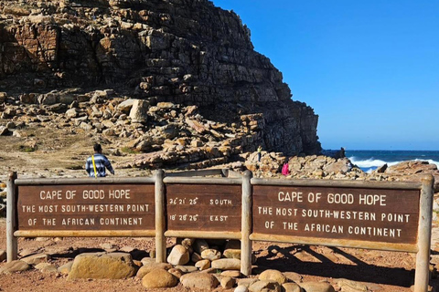 Cape Town: Cape Peninsula Jeep Safari Adventure