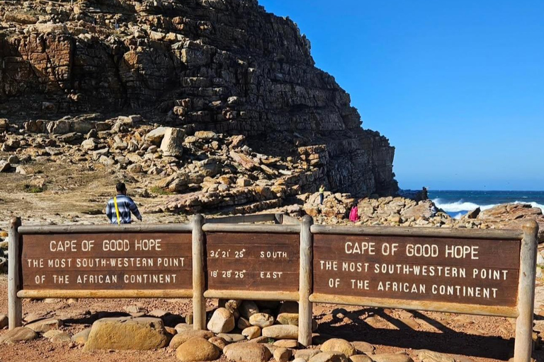 Cape Town: Cape Peninsula Jeep Safari Adventure