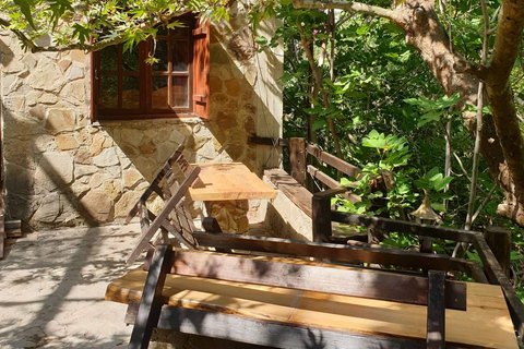 Paphos : Excursion en buggy à Akamas et aux chutes d&#039;Adonis5 heures de Buggy Tour Akamas incl et chutes d&#039;Adonis