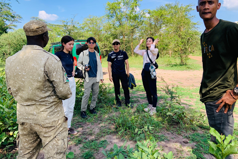 恩德培/坎帕拉：默奇森瀑布和齐瓦犀牛两日游