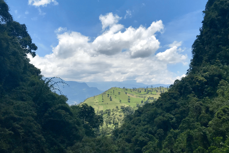 BOGOTÁ: CACHOEIRA LA CHORRERA