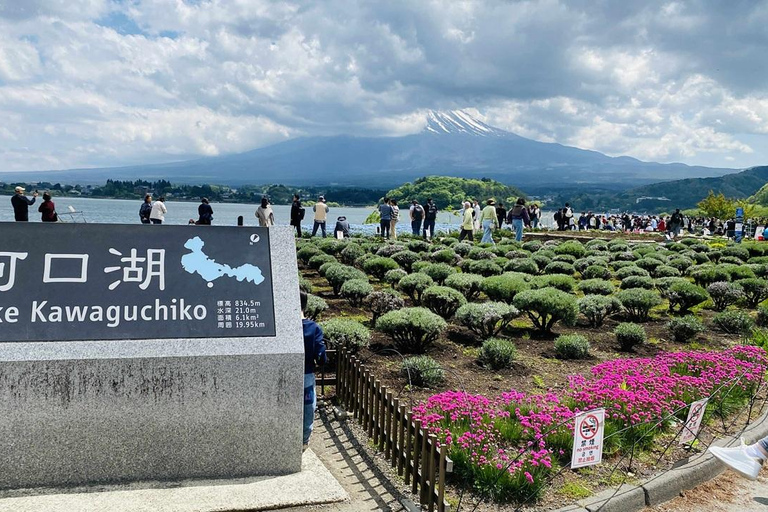 Fuji: kultur, skog och utsikt – privat skräddarsydd turFuji-kultur, skog och naturskön utsikt: Privat skräddarsydd tur