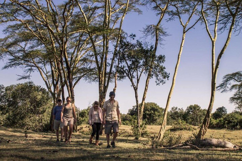 Depuis Nairobi : Excursion d&#039;une journée dans la réserve naturelle d&#039;Ol Pejeta