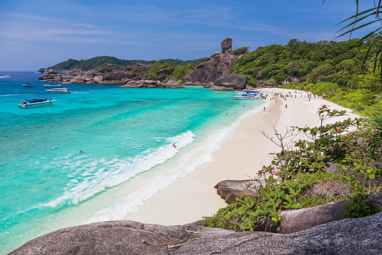 Isla Similan - SnorkelOpción Catamarán