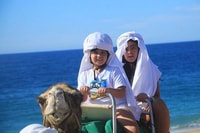 Cabo, Camel Ride On The Beach - Housity