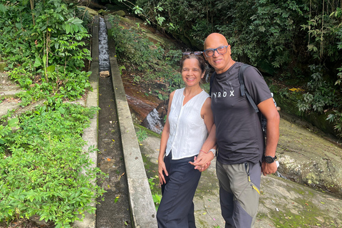 Rio de Janeiro: Christ the Redeemer Forest Hike