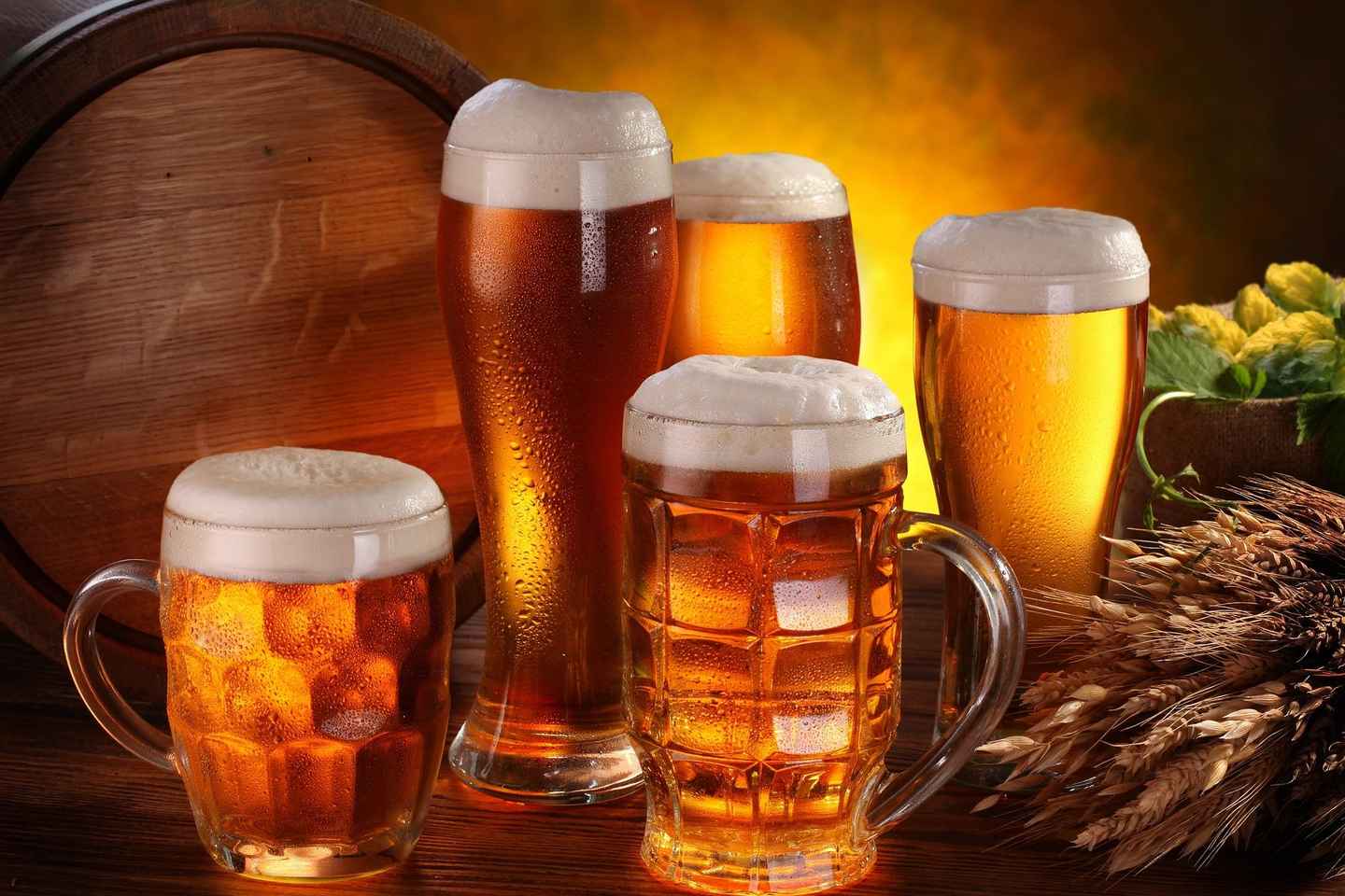 VIP Prague Party Night