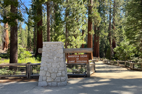 Yosemite, Séquoias géants, visite privée depuis San FranciscoYosemite privé, séquoias géants, depuis San Francisco