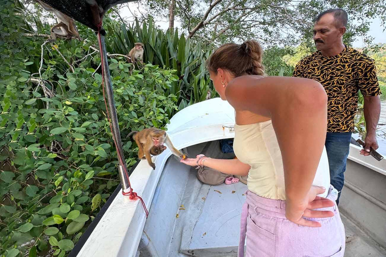 From Mirissa: Crocodile Watching River Boat Safari