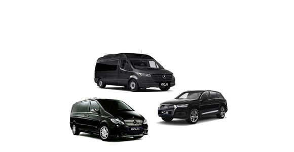 From Melbourne Airport: Private Door-to-Door City Transfer