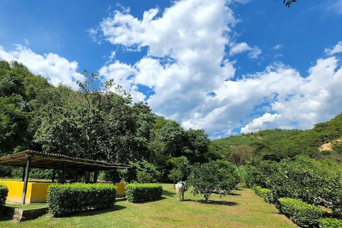 MEDELLIN: PASSEIO A SAN JERONIMO + ECOPARQUE GAITERO + PISCINA