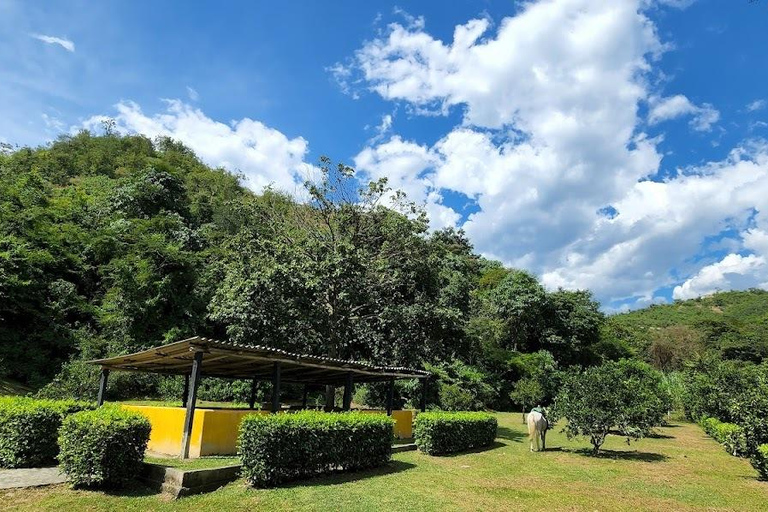 MEDELLIN: PASSEIO A SAN JERONIMO + ECOPARQUE GAITERO + PISCINA