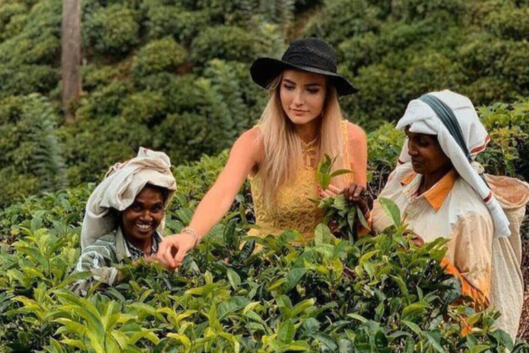 Lipton Seat Legacy: Tuk-Tuk & Train Tea Trails Tour