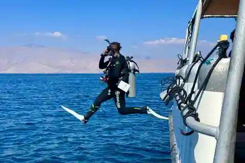Fujairah : expérience de plongée sous-marine