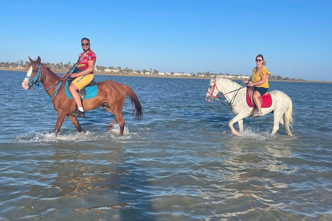 Djerba: Crossing the Lagoon on Horseback at Sunset Djerba: Horseback ride across the lagoon at sunset
