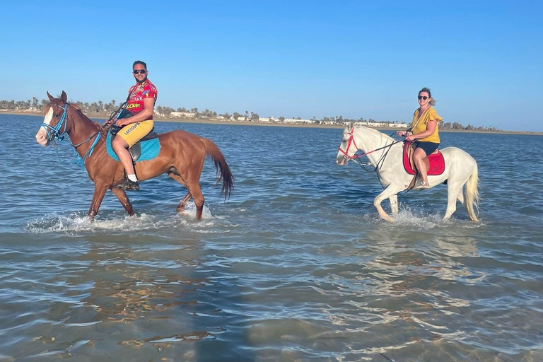 Djerba: Crossing the Lagoon on Horseback at Sunset Djerba: Horseback ride across the lagoon at sunset