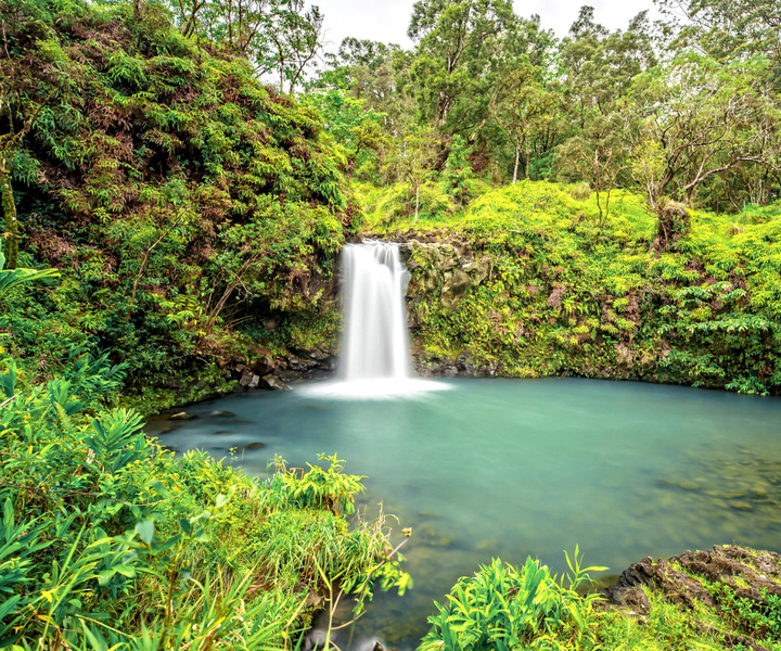 Maui: Small Group Road to Hana Tour With a Local