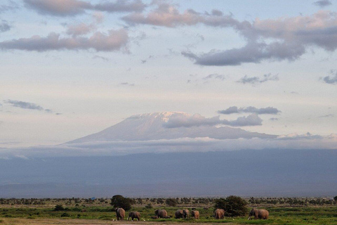 3 Days & 2 Nights Amboseli National Park With 4*4 Vehicle