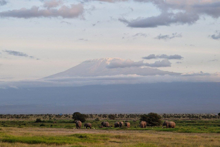 3 Days & 2 Nights Amboseli National Park With 4*4 Vehicle