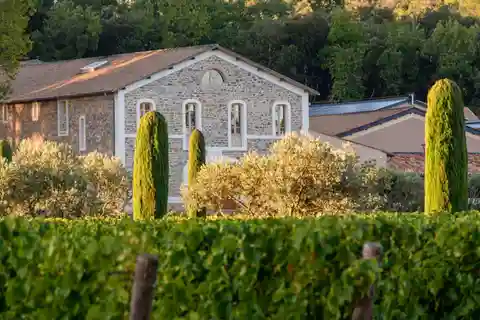 Visita una delle cantine più moderne della Provenza, l'Escarelle!