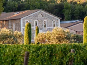 Visite de l'une des caves les plus modernes de Provence à l'Escarelle !
