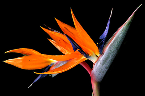 Foto Workshop in München, 3 hours, theory and praxis