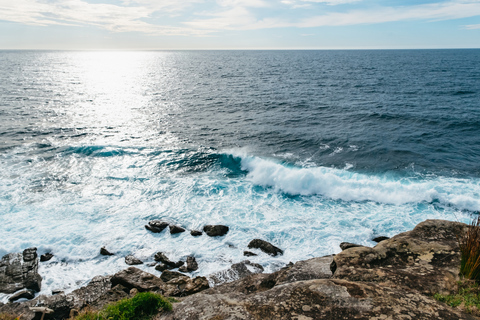 Manly & Shelly Beach: snorkeltourAnnuleringsbeleid: 100% restitutie tot 7 dagen van tevoren