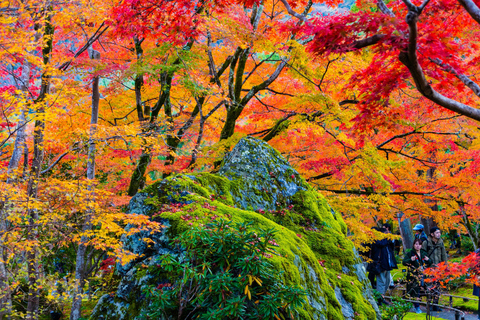 Kyoto: Arashiyama privétour met Sagano romantische treinPrivétour met treinrit