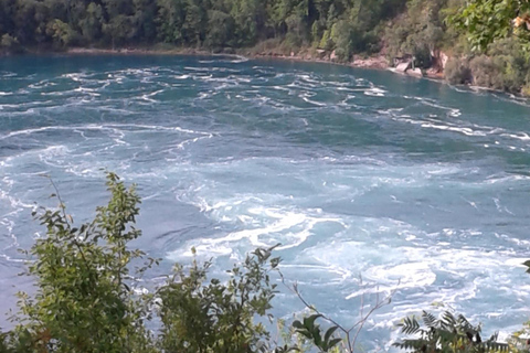 Cataratas do Niágara, Ontário: Passeio de um dia começando em Toronto