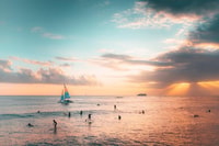 Waikiki, Sea Turtle Snorkeling Tour - Housity