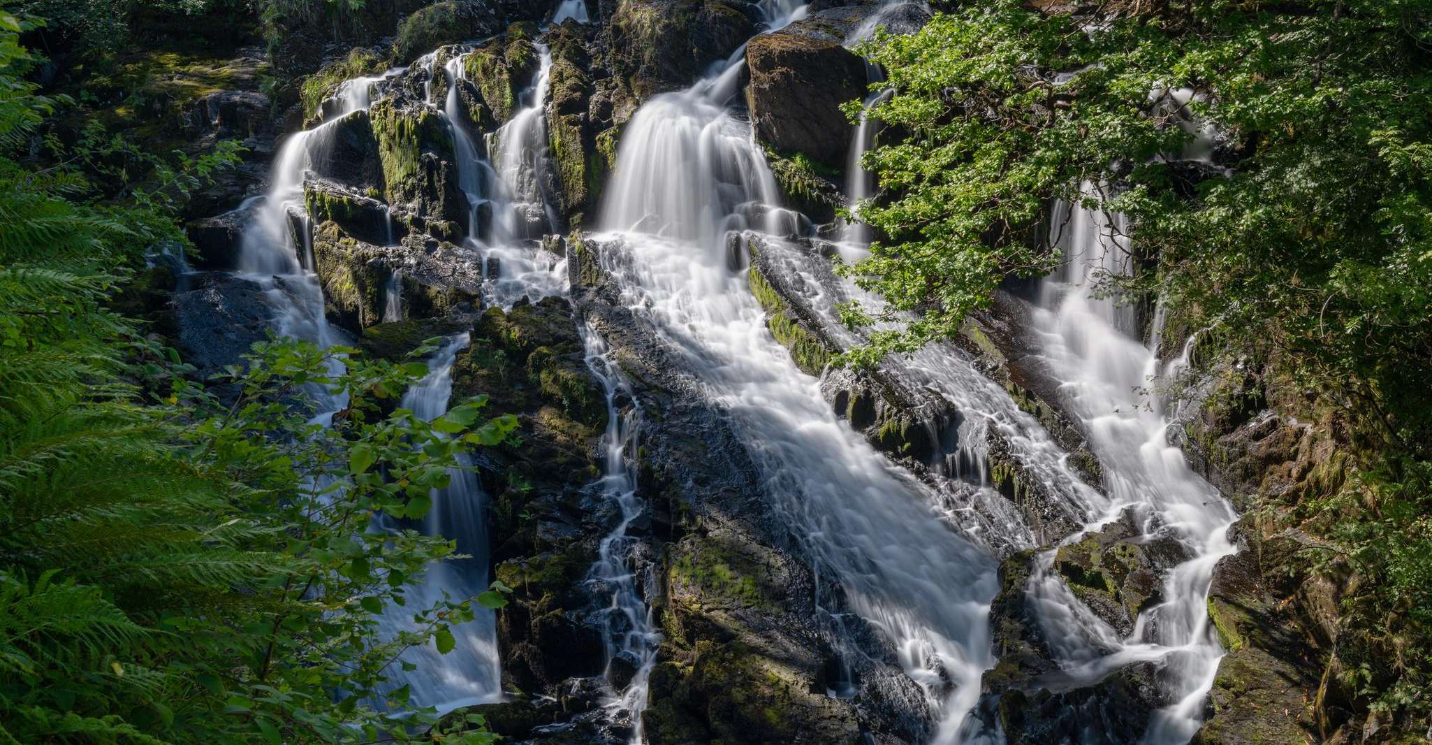Excursión de un día a Llandudno Gateway, Snowdonia, Castillos y Portmeirion - Hizvo